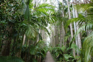 東南植物楽園