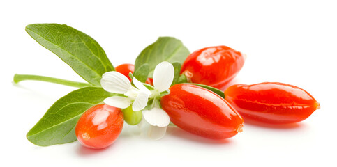 Fresh red goji berries with leaves and flower isolated on a white background.