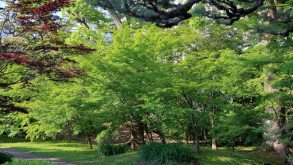 都心散歩　芝離宮恩賜庭園あたり