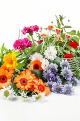 Colorful abstract meadow floral silhouette artwork in vibrant colors against a background. Great is flower design inspiration