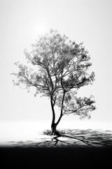 alleinstehender Baum - obrazy, fototapety, plakaty