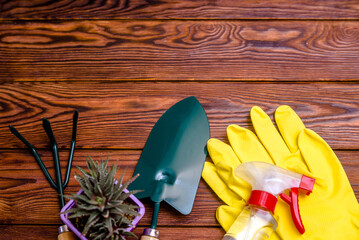 Garden tools on the background of a brown wooden table
