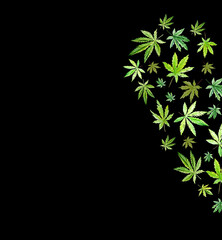 Green cannabis heart on black background, green leaves Hand drawn watercolor illustration, medicine herb plant