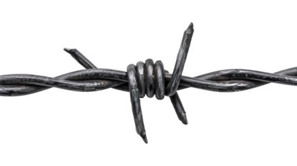 A barbed wire isolated on white or transparent background