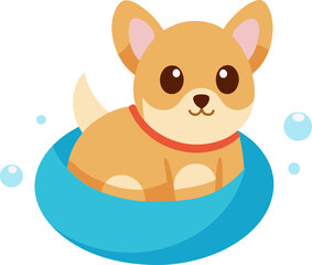baby dog