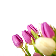 Bunch, flowers and tulips in studio by white background, blossom and peace or floral with greenery. Plant, petal and Mockup for decoration, creativity and wallpaper or screensaver with natural color