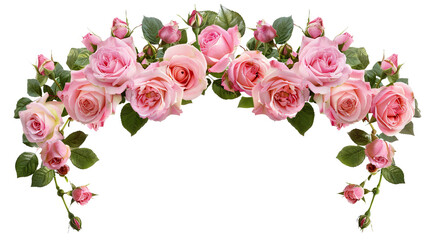 Beautiful arch composed of pink roses and rich green leaves, cut out