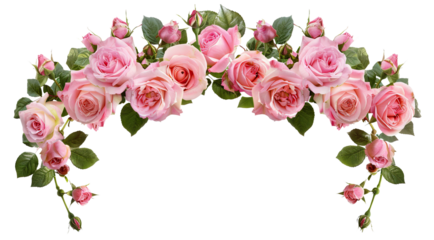 Beautiful arch composed of pink roses and rich green leaves, cut out