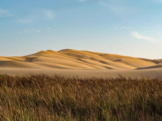 Dune de sable au cœur du désert