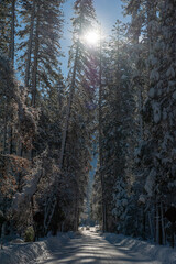 Fototapety na wymiar - Fototapeta24.pl