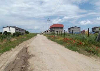Fototapeta premium Houses and poppy flowers by a dirt road in summer.