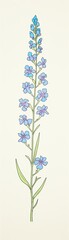 Fototapeta premium July, larkspur