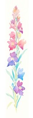 Fototapeta premium July, larkspur