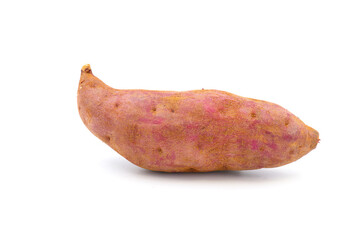sweet potato tuber