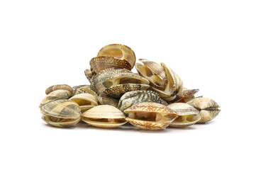Closed up fresh baby clams, venus shell, shellfish, carpet clams, short necked clams, as raw food...