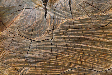 Old wooden texture for background that has natural.