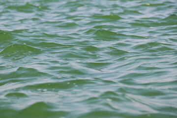 ocean water waves ripples. green water surface of the sea. background.