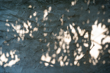 leaves shadow overlay