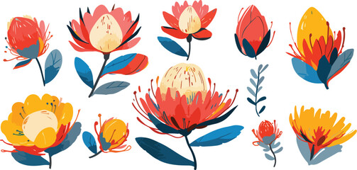 protea clipart vector for graphic resources