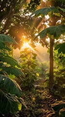 Tranquil scene of a papaya garden during golden hour, with rays of sunlight piercing through the foliage and casting shadows on the ground