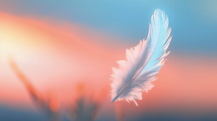 A pristine white feather floating on sunset background with yellow clouds on sky 