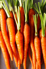 Fresh and sweet ripe orange carrot