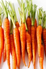 Fresh and sweet ripe orange carrot on white background
