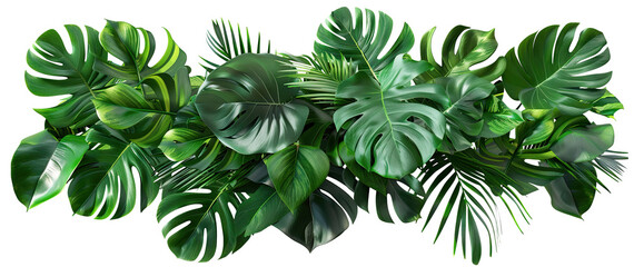 Lush green tropical plants bush (monstera, palm, rubber plant, pine and fern), cut out