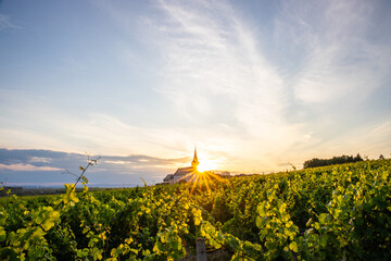 In the foreground you can find beautiful green vineyards in a landscape shot. In the background...