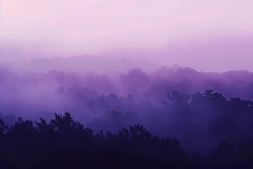 A moody gradient shift from dark purple to soft lavender, symbolizing twilight turning into dawn