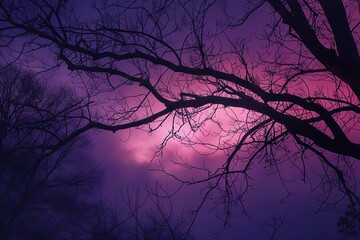 A moody gradient shift from dark purple to soft lavender, symbolizing twilight turning into dawn