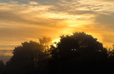 Sunset illuminates the trees with amber glow, casting shadows as dusk falls