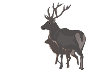 Fototapeta premium deer silhouette isolated on white