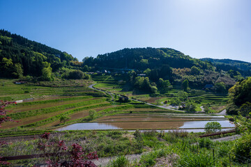 Fototapeta premium 日本の岡山県美咲町の棚田の美しい風景
