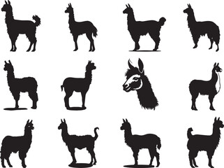 L lama Silhouette Vector Illustration