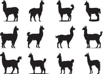 L lama Silhouette Vector Illustration