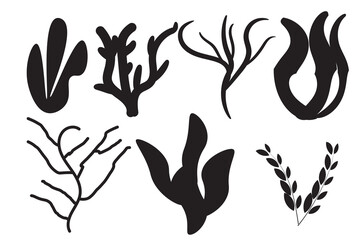 Laser cutting template. Seaweeds. Set of coral reef underwater plants vector isolated on white Aquarium alga set, ocean water plants silhouette. Paper cutout. Stamp. Stencil.