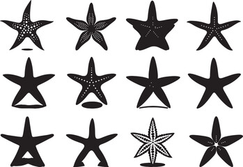 Fototapeta premium Starfish Silhouette Vector Illustration