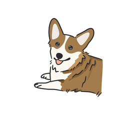 Corgi dog breed
