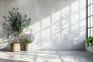 Empty interior with shadows on white wall with two levender plants in room