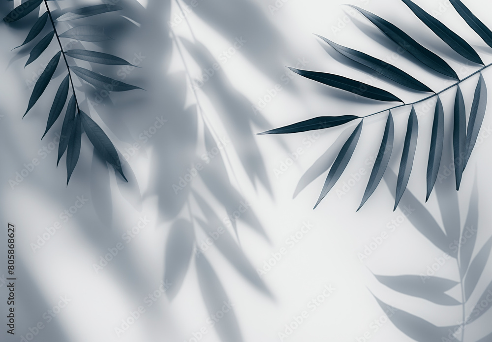 Poster a leafy plant with its leaves casting a shadow on a white background. the shadow is dark and elongat