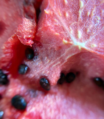 closeup of watermelon, ripe watermelon with seeds