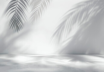A white background with a palm tree and its shadow. The shadow is the main focus of the image