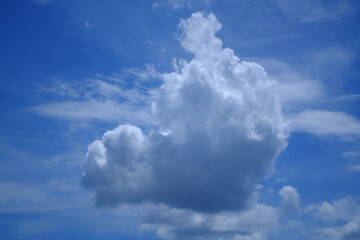 青空に浮かぶ雲

