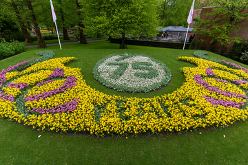 garden in the Keukenhof