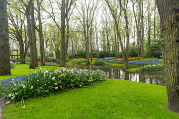 garden in the Keukenhof