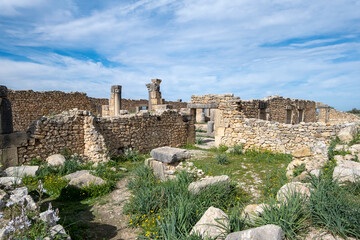 View on Archaeological Site of Volubilis, the roman house ruins.   UNESCO World Heritage Site, Morocco
