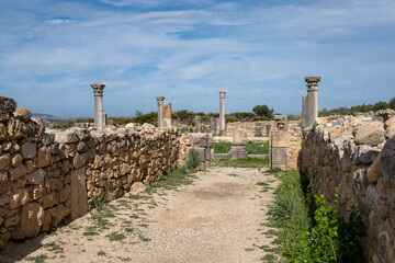 Archaeological Site of Volubilis, the roman house ruins.   UNESCO World Heritage Site, Meknes, Morocco
