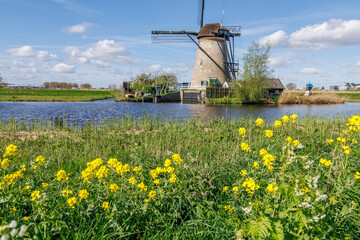 Kinderdijk in den Niederlanden
