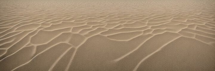 Obraz premium sand ripples in the desert